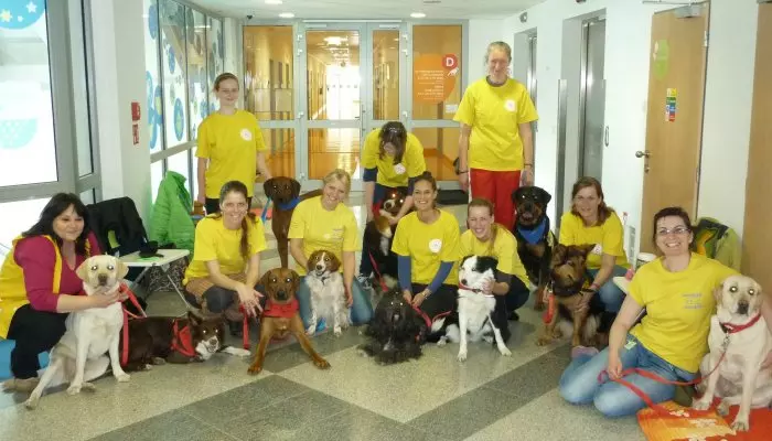 Dobrovolnické centrum